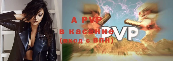 ПСИЛОЦИБИНОВЫЕ ГРИБЫ Верхний Тагил
