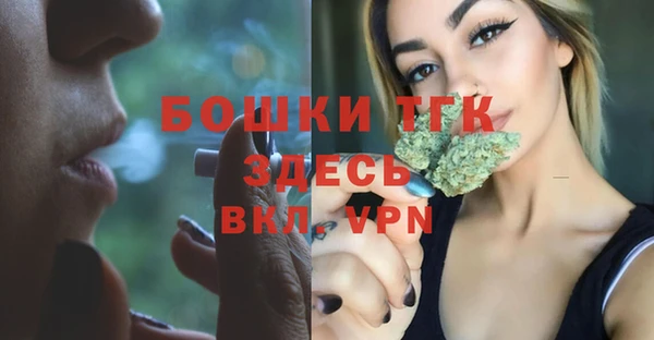 мдпв Бронницы