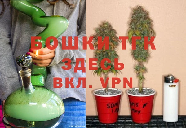 прущие грибы Бородино