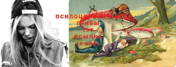 ПСИЛОЦИБИНОВЫЕ ГРИБЫ Верхний Тагил