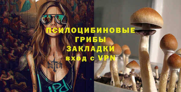ПСИЛОЦИБИНОВЫЕ ГРИБЫ Верхний Тагил