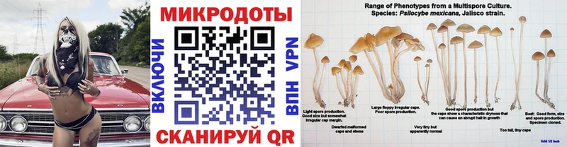 Галлюциногенные грибы Psilocybe  Учалы 